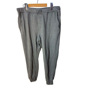 Patagonia Men’s Heather Gray Joggers size Large Worn Wear Style # 56666